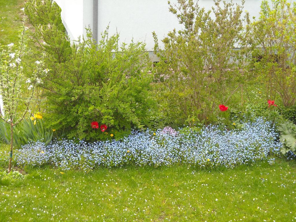 Stadtnahe Landwohnung Klagenfurt am Woerthersee Buitenkant foto
