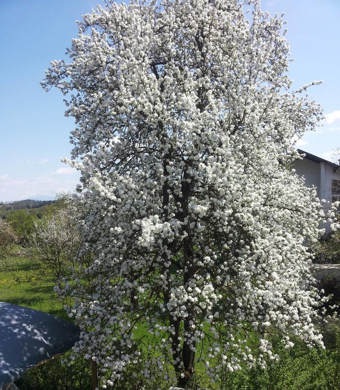 Stadtnahe Landwohnung Klagenfurt am Woerthersee Buitenkant foto